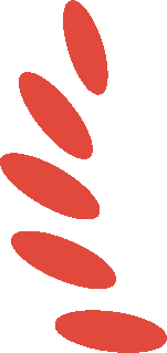 Ubuntu系统笔记本关闭显示器的方法